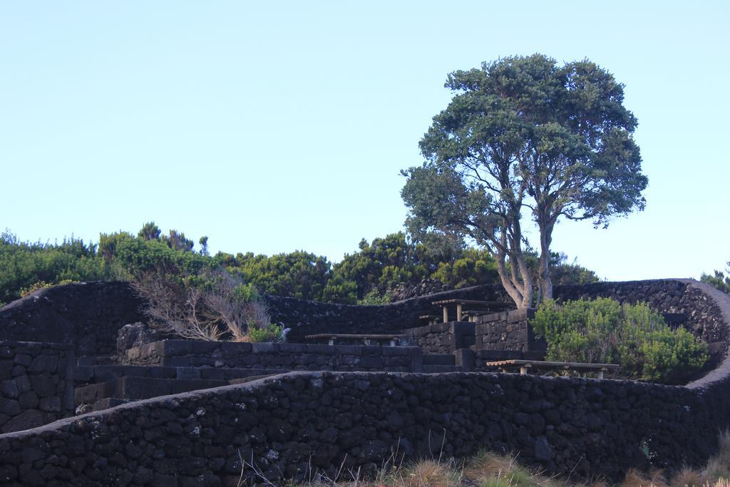 Adega Do Mirante São Roque do Pico Quarto foto